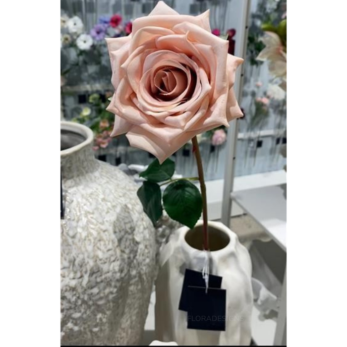 Rose Olivia Dusty Pink 72cm Pack of 12
