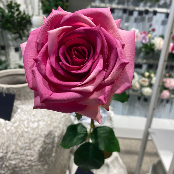 Rose Olivia Fuschia 72cm Pack of 12