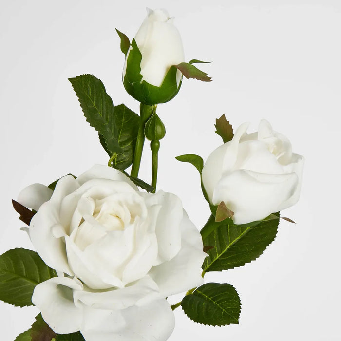Rose Spray Real Touch 75cm White Pack of 12