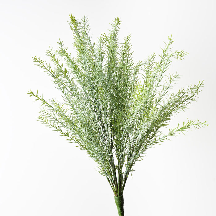 Rosemary Bush Grey Green 61cm Set of 6