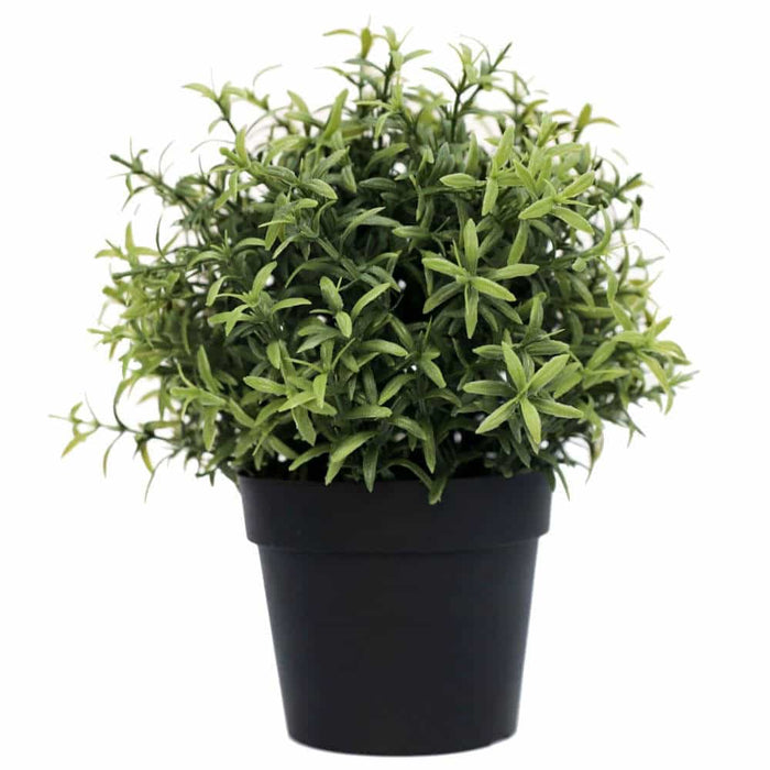 Rosemary Herb Plant UV Resistant 20cm Green Set of 4