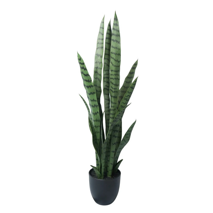 Sansevieria Green UV Resistant in Pot 90cm