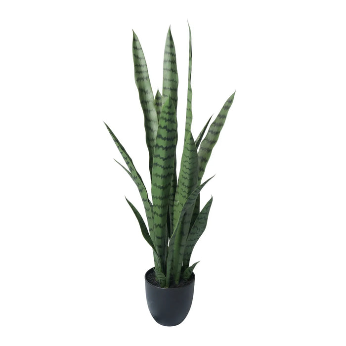 Sansevieria Green UV Resistant in Pot 90cm