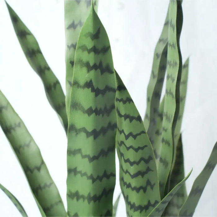 Sansevieria Green UV Resistant in Pot 90cm