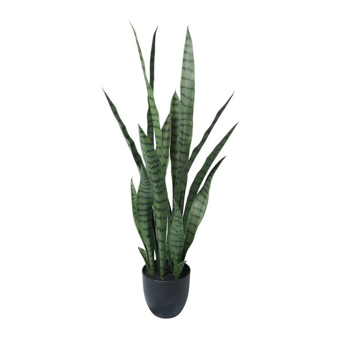 Sansevieria Green UV Resistant in Pot 90cm