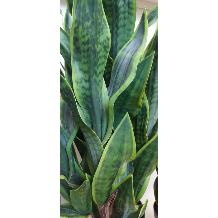Sansevieria Plant Green 99cm