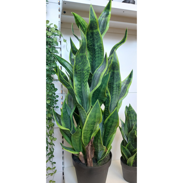 Sansevieria Plant Green 99cm