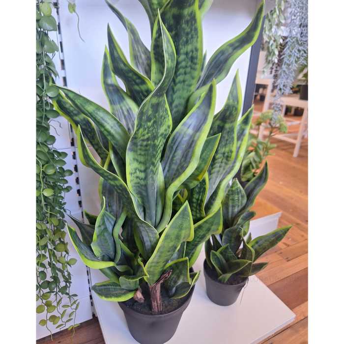 Sansevieria Plant Green 99cm