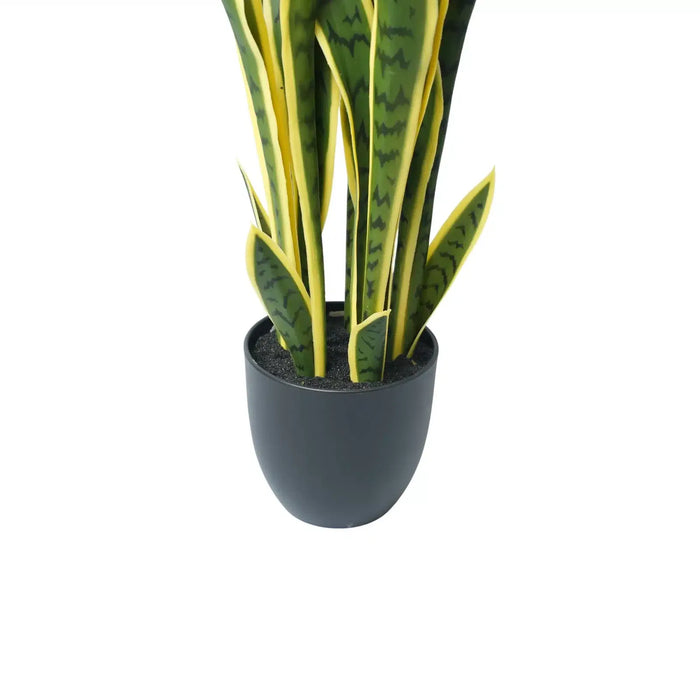 Sansevieria UV Resistant in Pot 60cm Yellow