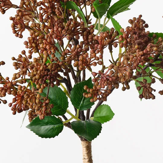 Sedum Bouquet Brown  38cm - Pack of 12