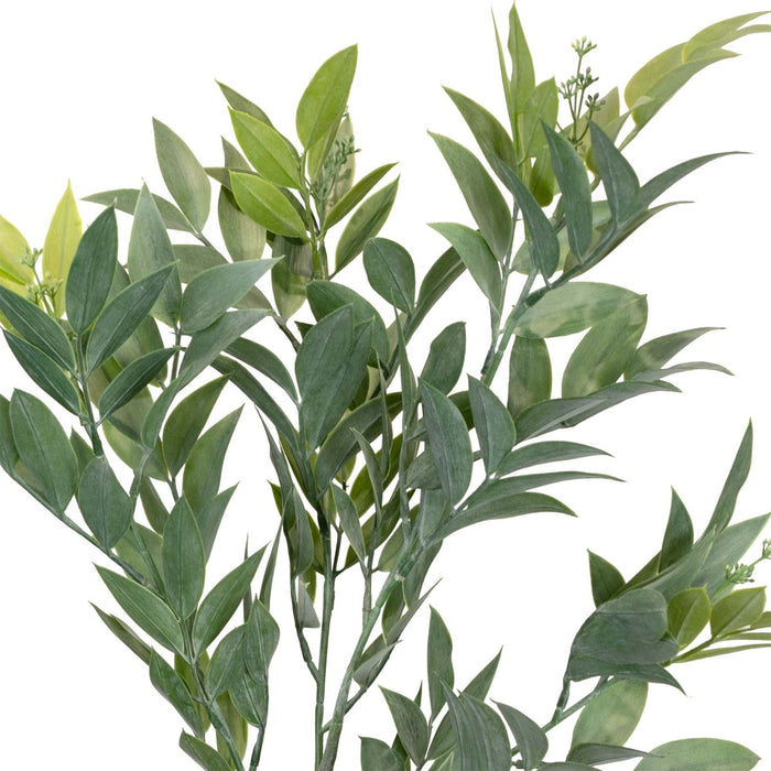 Seeded Ruscus Spray 89cm Pack of 12
