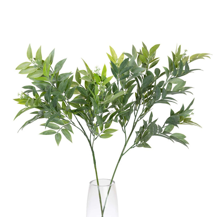Seeded Ruscus Spray 89cm Pack of 12