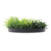 Slimline Artificial Green Wall Disc Art Grassy Fern Fields 50cm - FLORA DESIGNS