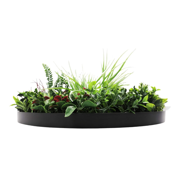 Slimline Artificial Green Wall Disc Art Colour 60cm - FLORA DESIGNS