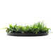 Slimline Artificial Green Wall Disc Art Country Fern 80cm - FLORA DESIGNS