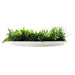 Slimline Artificial Green Wall Disc Art Country Fern 80cm - FLORA DESIGNS