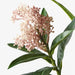 Skimmia Spray Light Pink 75cm - Pack of 12