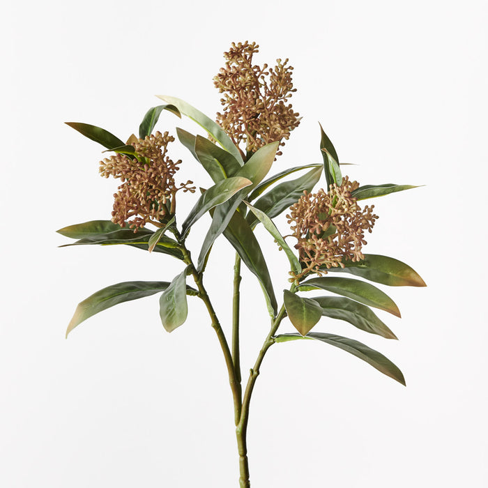 Skimmia Spray Natural 46cm - Pack of 12