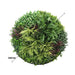 Slimline Artificial Green Wall Disc Art Grassy Fern 100cm - FLORA DESIGNS