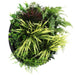 Slimline Artificial Green Wall Disc Art Grassy Fern Fields 50cm - FLORA DESIGNS