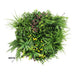 Slimline Artificial Green Wall Disc Art Country Fern 60cm - FLORA DESIGNS