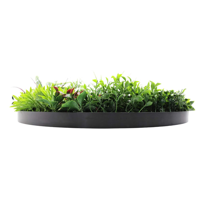 Slimline Artificial Green Wall Disc Art Colour 80cm - FLORA DESIGNS
