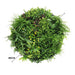Slimline Artificial Green Wall Disc Art Country Fern 80cm - FLORA DESIGNS