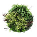 Slimline Artificial Green Wall Disc Art Grassy Fern 80cm - FLORA DESIGNS