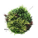 Slimline Artificial Green Wall Disc Art Grassy Fern 80cm - FLORA DESIGNS