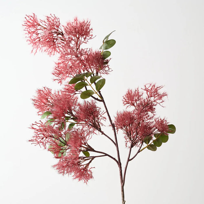 Smoke Bush Spray Burgundy 110cm Pack of 12