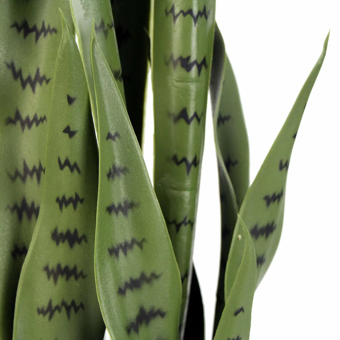 Snake Plant Sansevieria 85cm UV Resistant