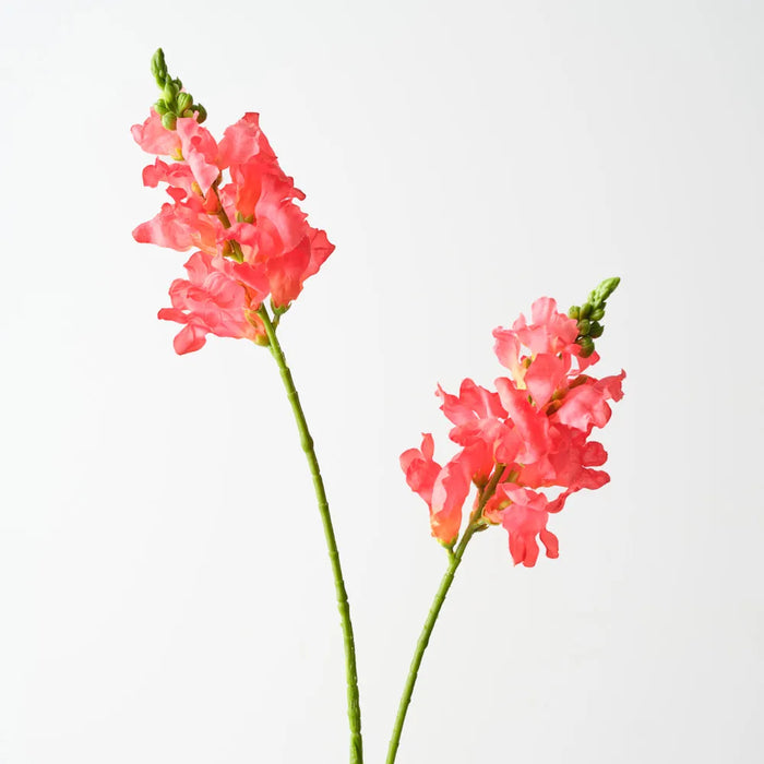 Snapdragon Spray 80cm Coral Pink Pack of 12