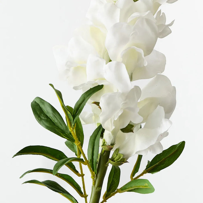 Snapdragon White 65cm, Pack of 12