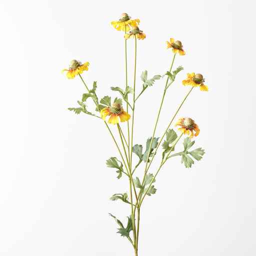 Sneezeweed Spray Yellow 91cm - Pack of 12