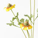 Sneezeweed Spray Yellow 91cm - Pack of 12