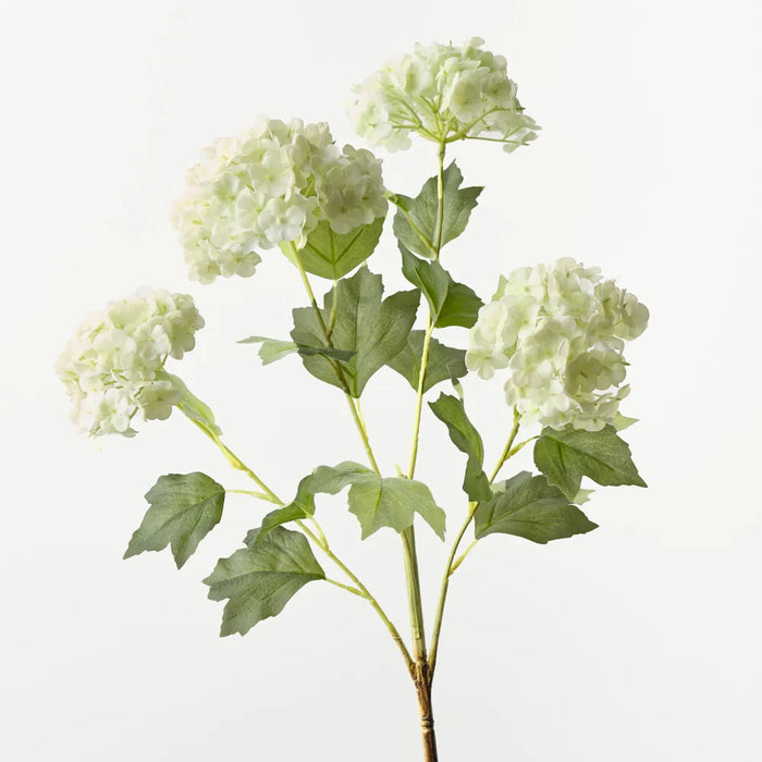 Snowball Spray Light Green, 74cm Pack of 12