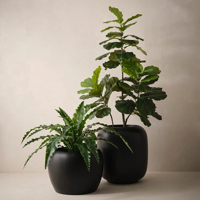 Solveig Pot  - Black 60cm