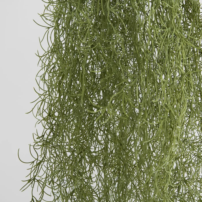 Spanish Moss Hanging 80cm Dark Green Pack of 12
