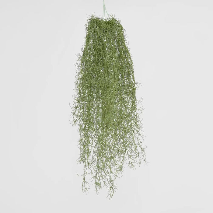 Spanish Moss Hanging 80cm Dark Green Pack of 12