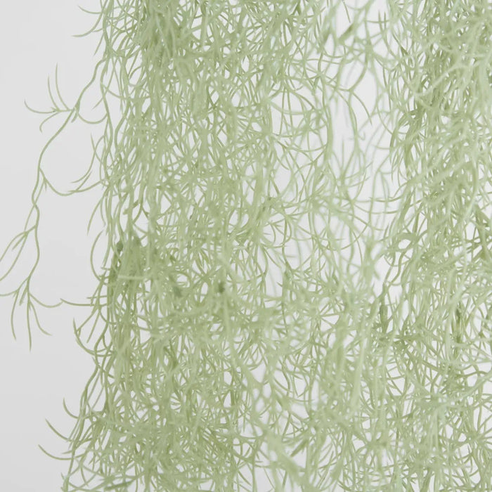 Spanish Moss Hanging 80cm Grey Green Pack of 12