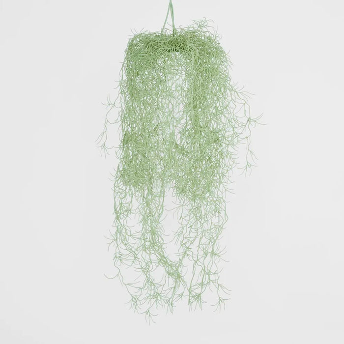 Spanish Moss Hanging 80cm Grey Green Pack of 12