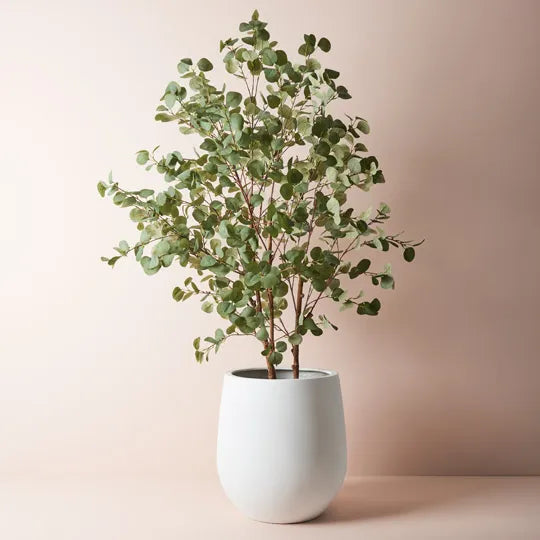 Sprout White Pot 52cm