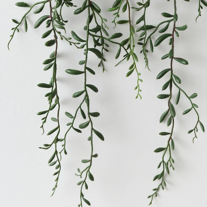 String of Beans Plant 52cm Green - Pack of 6