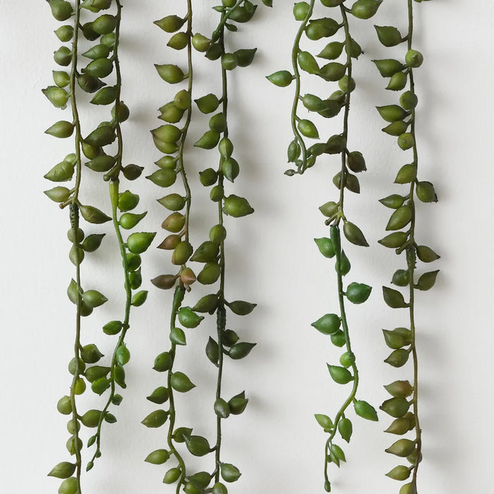 String of Pearls Plant 59cm Green - Pack of 4