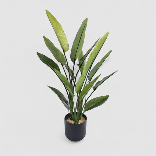 Artificial Strelitzia Real Touch 80cm Green - FLORA DESIGNS