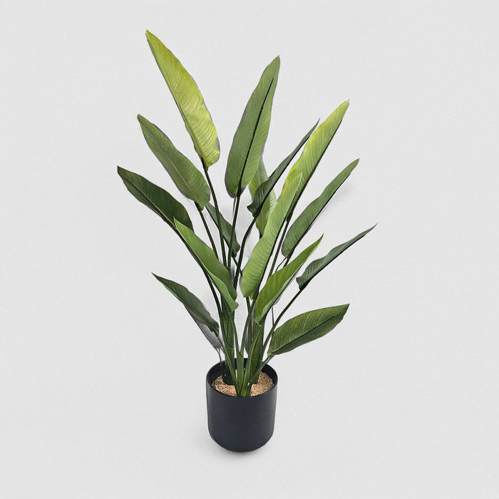 Artificial Strelitzia Real Touch 80cm Green - FLORA DESIGNS
