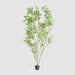 Artificial Real Touch Pieris Japonica Tree 260cm Green - FLORA DESIGNS