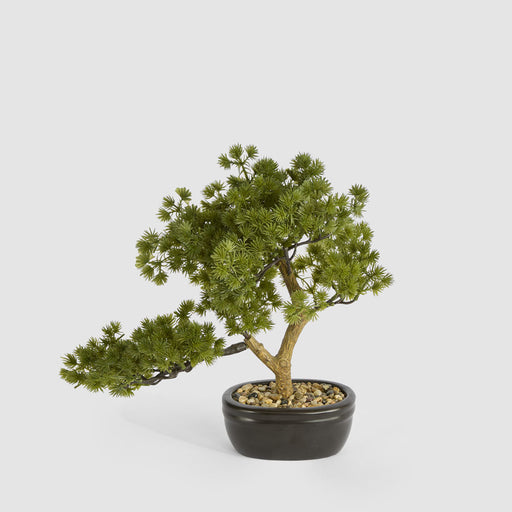 Artificial Bonsai Pine Tree 30cm Green - FLORA DESIGNS