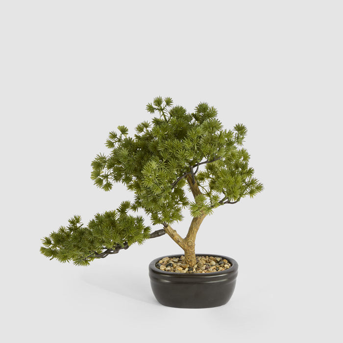 Artificial Bonsai Pine Tree 30cm Green - FLORA DESIGNS