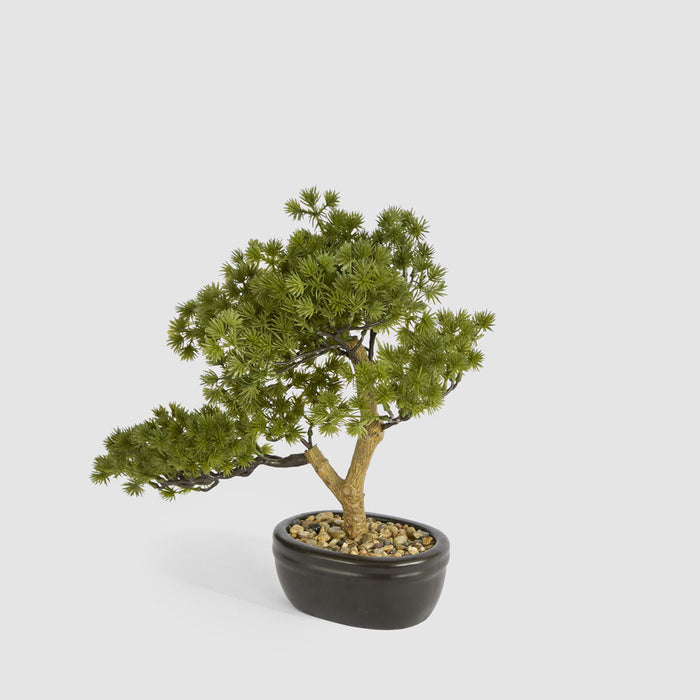 Artificial Bonsai Pine Tree 30cm Green - FLORA DESIGNS